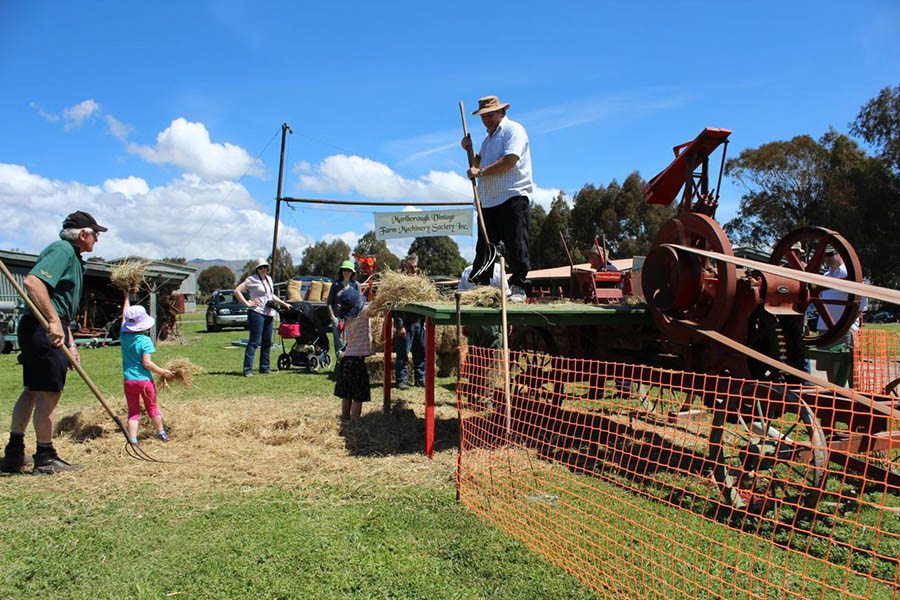 Roger Schroder feeds the last of the hay up for Jim Donald to feed into his 1930 International Baler